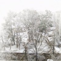 Первый снег :: Ирина Сивовол