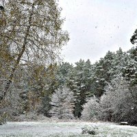 Октябрь... Первый снег. :: Михаил Столяров