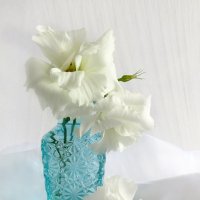 Белые цветы :: SaGa 