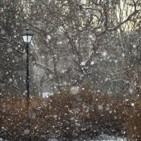 пушистый снегопад :: StudioRAK Ragozin Alexey