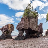 Hopewell Rock Canada :: Naum 