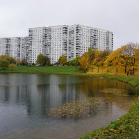 Осень в городе :: Ольга 