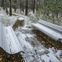 Москва, Измайловский лесопарк :: Игорь Герман