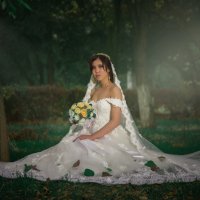 Невеста :: Геннадий Никулочкин