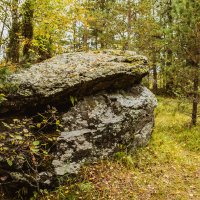 Большой камень в лесу. :: Ольга Нежикова