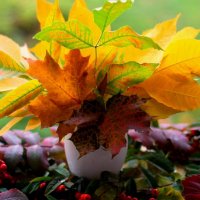 Букет из осенних листьев :: Горкун Ольга Николаевна 