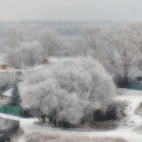 Первый снег. :: Виктор Иванович Чернюк