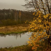 Осень :: Николай Климович