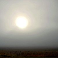Ноябрьский туман. :: Михаил Столяров