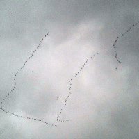 Птицы летят на юг :: Татьяна Королёва
