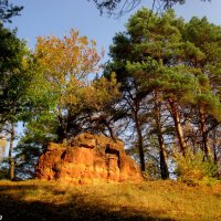 В Кисловодском курортном парке :: Нина Бутко