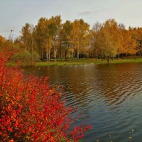 Осенняя идиллия в Парке Авиаторов... :: Sergey Gordoff
