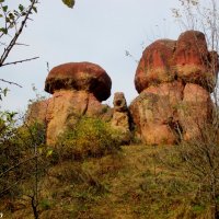 Природный памятник "Красные грибы" в Кисловодском курортном парке :: Нина Бутко
