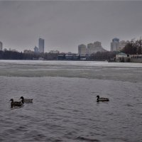 Город без людей. :: Лариса Красноперова