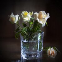 Ах, эти розы, их живая роскошь - Отточен каждый нежный лепесток. :: Людмила Богданова (Скачко)