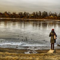 Питер Рыбацкое Девушка Уточки :: Юрий Плеханов