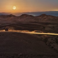 Ночь в пустыне :: Пила Дотошная