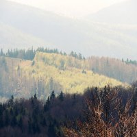 В Карпатах :: Роман Савоцкий