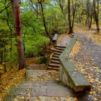 В Кисловодском курортном парке :: Нина Бутко