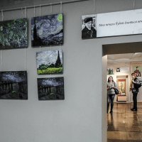 выставка :: Юлия Денискина