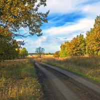 Октябрьский пейзаж :: Любовь Потеряхина