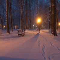 по первому снегу :: Владимир Зырянов