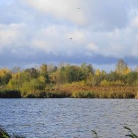 Форелевое озеро в октябре :: Маргарита Батырева