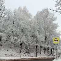 Улица Пушкинская. :: Нина Бурченкова.