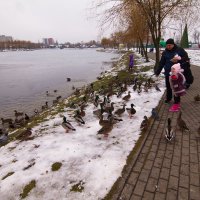 на кормёжке :: Владимир Зырянов