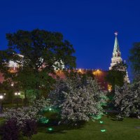 Москва. Александровский сад под стенами Кремля майским вечером :: Минихан Сафин