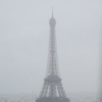 Непогода и туман в Париже :: Наталия Л.