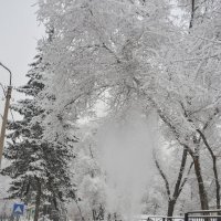 Снег в городе. :: юрий Амосов