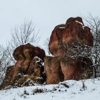 Каменные грибы в "Кисловодске" :: Диана 