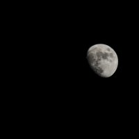 Луна :: Альбина Прокопенко 