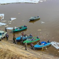 Первые "ласточки", охота открылась :: Владимир Волосовский