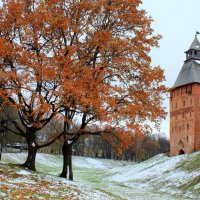 ВЕЛИКИЙ НОВГОРОД :: Николай Гренков