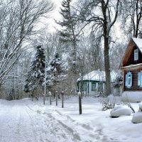 Зимняя дорога :: Марина Рожкова