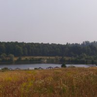 Старолисецкое   озеро :: Андрей  Васильевич Коляскин