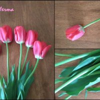 Розовые тюльпаны на столе (коллаж) :: Анастасия Дорошенко
