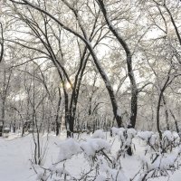 Парк в снегу. :: юрий Амосов