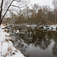 Зимняя графика. :: Владимир Безбородов