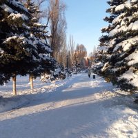 Самарская зима :: Александр Алексеев