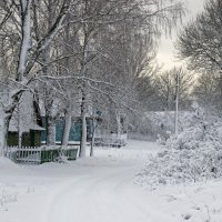 зима в деревне :: оксана 