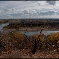 Осенние зарисовки :: Алексей Патлах