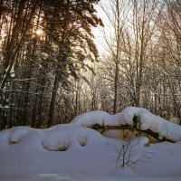 И в зимней сказке дремлет лес.. :: Андрей Заломленков