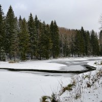 Замерзающий пруд :: Милешкин Владимир Алексеевич 