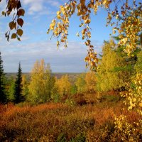 Осень в Заполярье :: ГАЛИНА Баранова