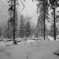 Зима пришла в Сибирь :: Николай Танаев