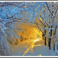 Красоты зимы :: Лидия (naum.lidiya)