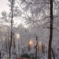 Вечер в зимнем парке. :: юрий Амосов